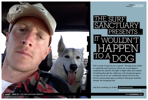 The Surf Sanctuary Presents