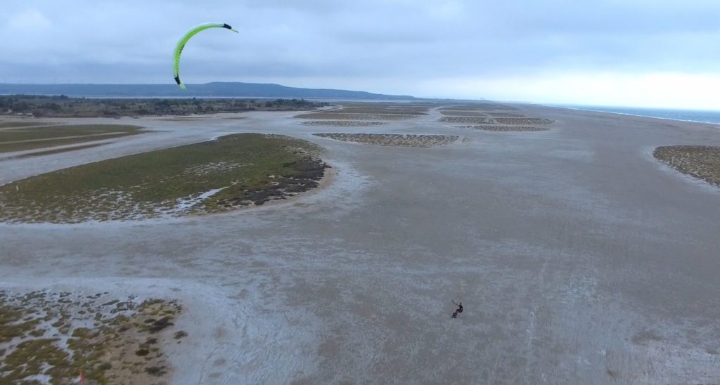 Kite Flies