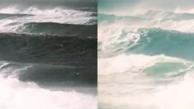 SALTY NEW YEAR - 2019 -