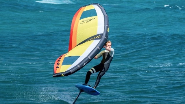 Shinn NUBO Board 2022 | Shinnworld