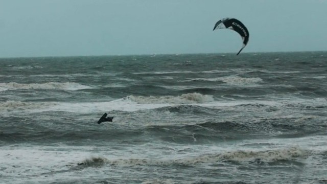 Thomas Vidal Megaloop