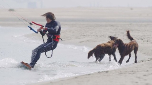 Training Grounds - Stig Hoefnagel