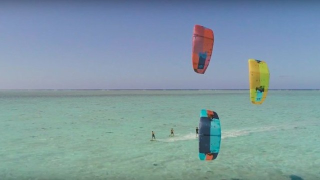 Duotone Dice 2019 Product Clip