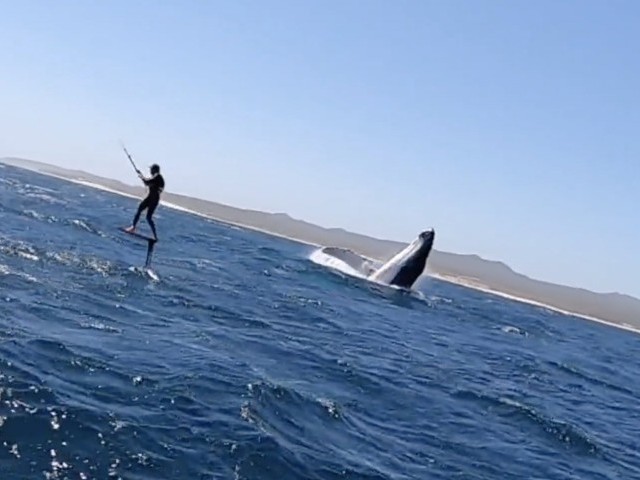 Kite Foiling With Giants