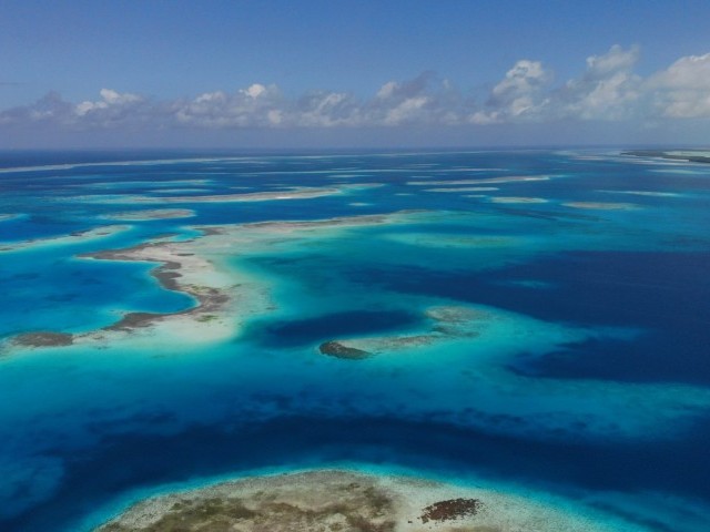 “CUARENTENA” – Quarantine in Paradise