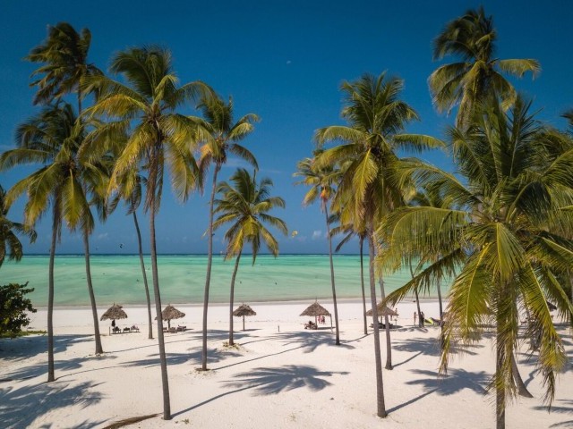 Paradise in Africa - Zanzibar