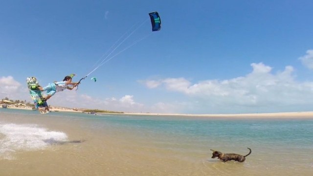 Leleo Kite - #Levelup