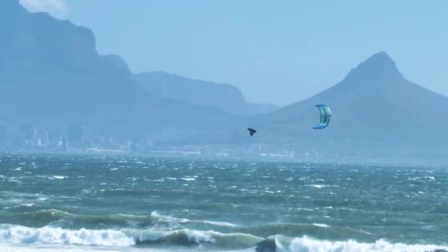 Cape Doctor Rush - Stig Hoefnagel