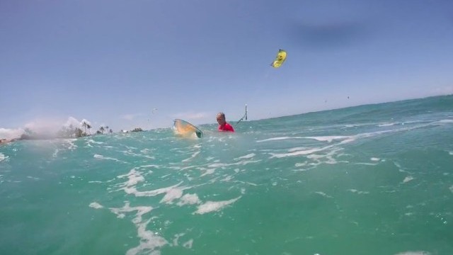 Early Bird Gets The Worm