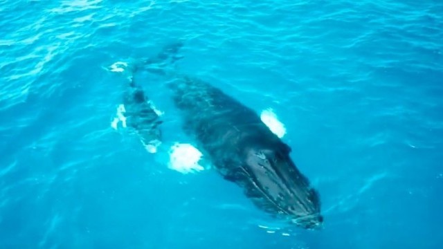 SXM Lifestyle- Theo Demanez