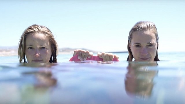 Insane Synergy - LIEUWE®