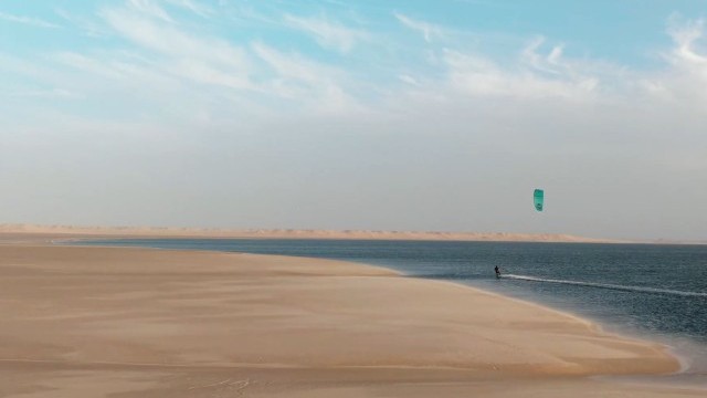 BLACK DOG - DAKHLA - Jerome Cloetens