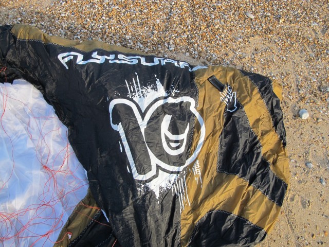 Flysurfer Unity 10m 2012