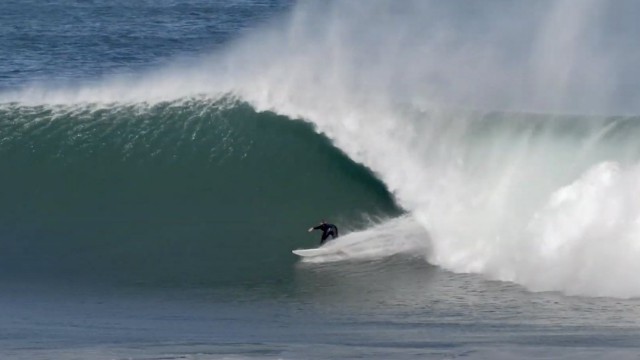 Introducing the Staple Collection featuring Dale Staples.