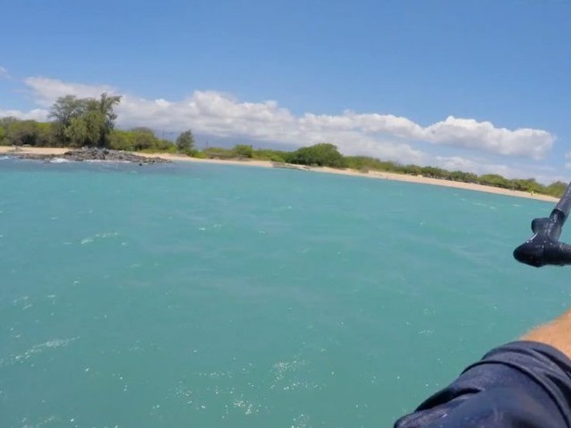 Flying Chicken Loops & Turtle Bombs