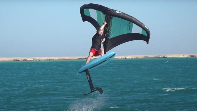 Shinn RESURECTOR Wing | Shinnworld