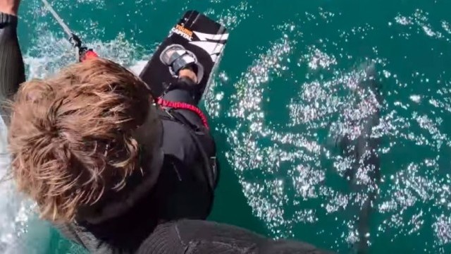 Kitesurfing With Dolphins