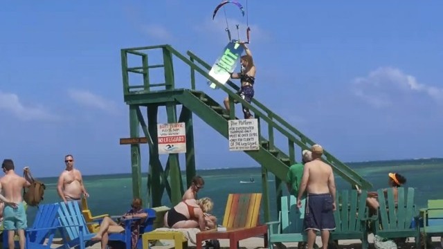 The Split - Ya lazy Lizard