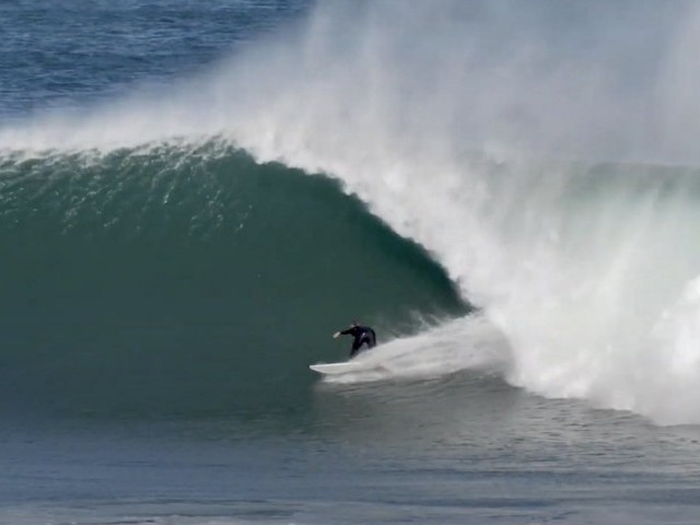 Introducing the Staple Collection featuring Dale Staples.