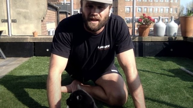 LIVE Q&A / SIT DOWN STRETCH