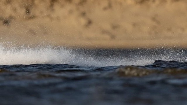 North 2022 Freestyle Product Overview