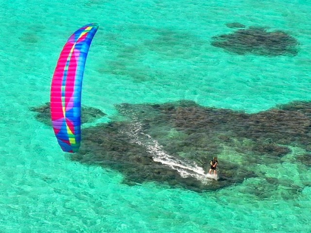 Airwave Kiteboarding | Good news, KOALA lovers!