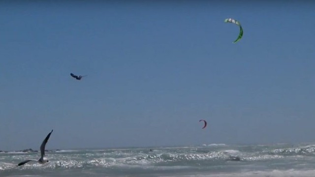 Best of 2016: Carlos, Youri, Alex, Aaron, Jesse, Kevin, ...