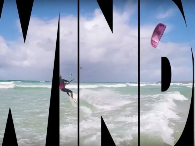 WINDY DAY vs NOT WINDY DAY