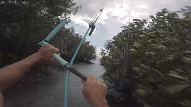 Assault on the Phillies