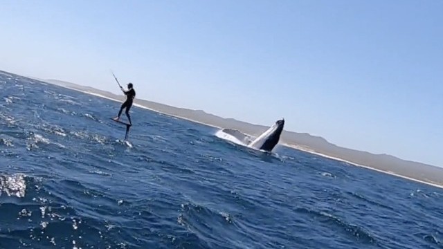 Kite Foiling With Giants