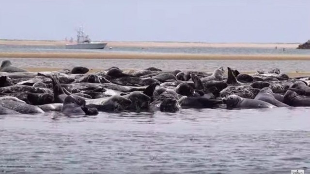 Let's Make A Change!