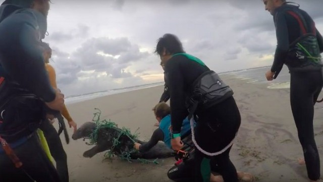 Kitesurf session turns into SEAL rescue!