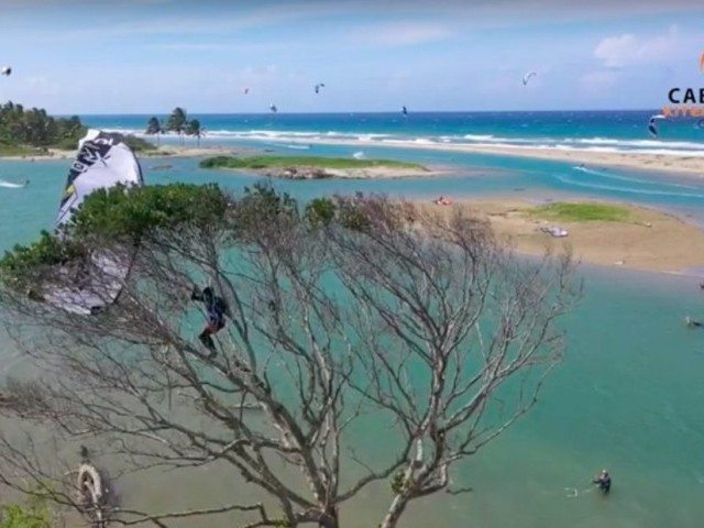Kiteboarding Tree Accident