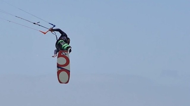 Desert Birds Dakhla 2016