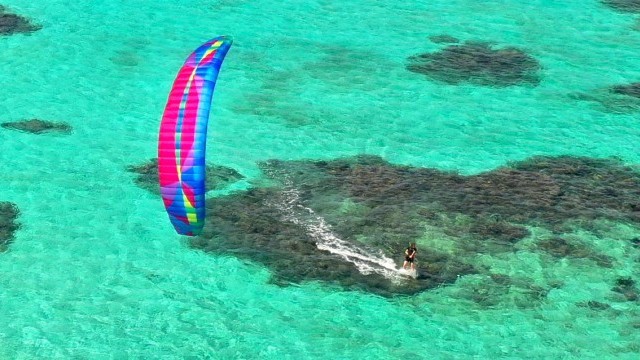 Airwave Kiteboarding | Good news, KOALA lovers!