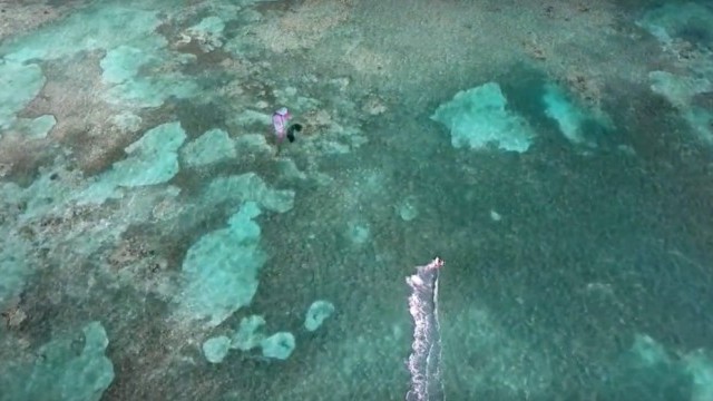 Kite Surfing in Paradise | Anegada Kite & Paddle Festival 2017