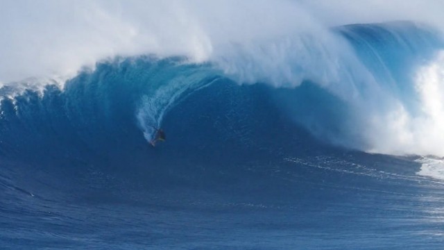 Rabbit Gang 3.1 - Ride It Your Way