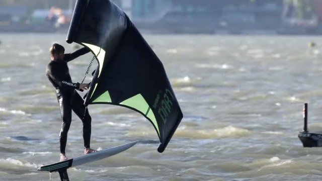 I think I've got the WING bug