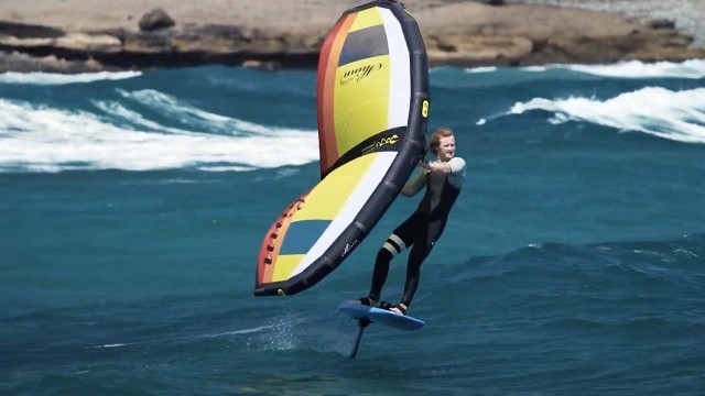 Shinn NUBO Board 2022 | Shinnworld