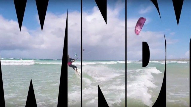 WINDY DAY vs NOT WINDY DAY