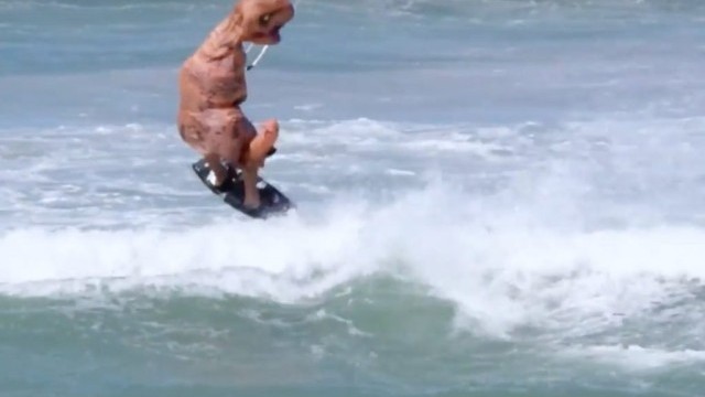 The Dinosaur Goes Kiting