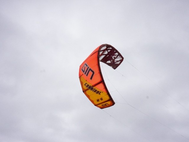 Gin Kiteboarding Cannibal 2 9m 2017