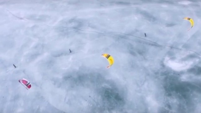 The Pursuit | Ocean Rodeo