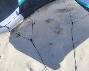 CORE Kiteboarding Section 4 6m 2022 | Kitesurfing Reviews » Kites ...