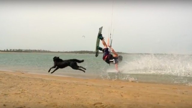 DuoTone - The Launch of a new Brand