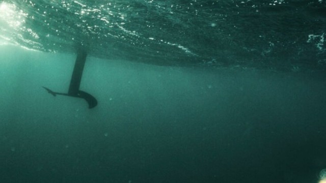 Shinn Suprahydro 2022 Hydrofoil Techtalk | Shinnworld