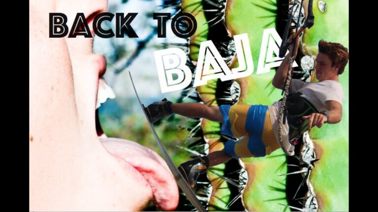 Back to Baja