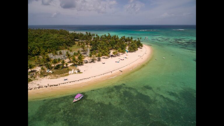 Bago Vybz