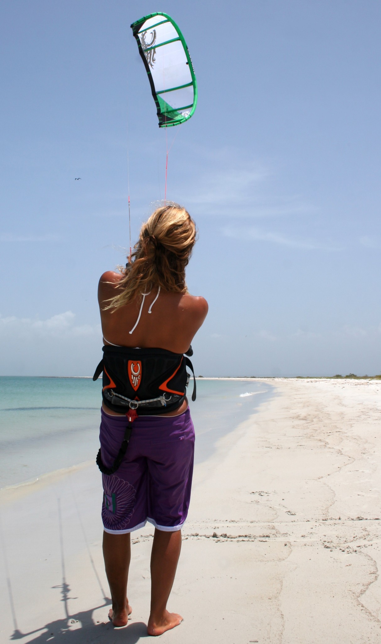Geta kite on sale