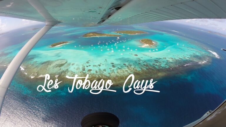 Les Tobago Cays